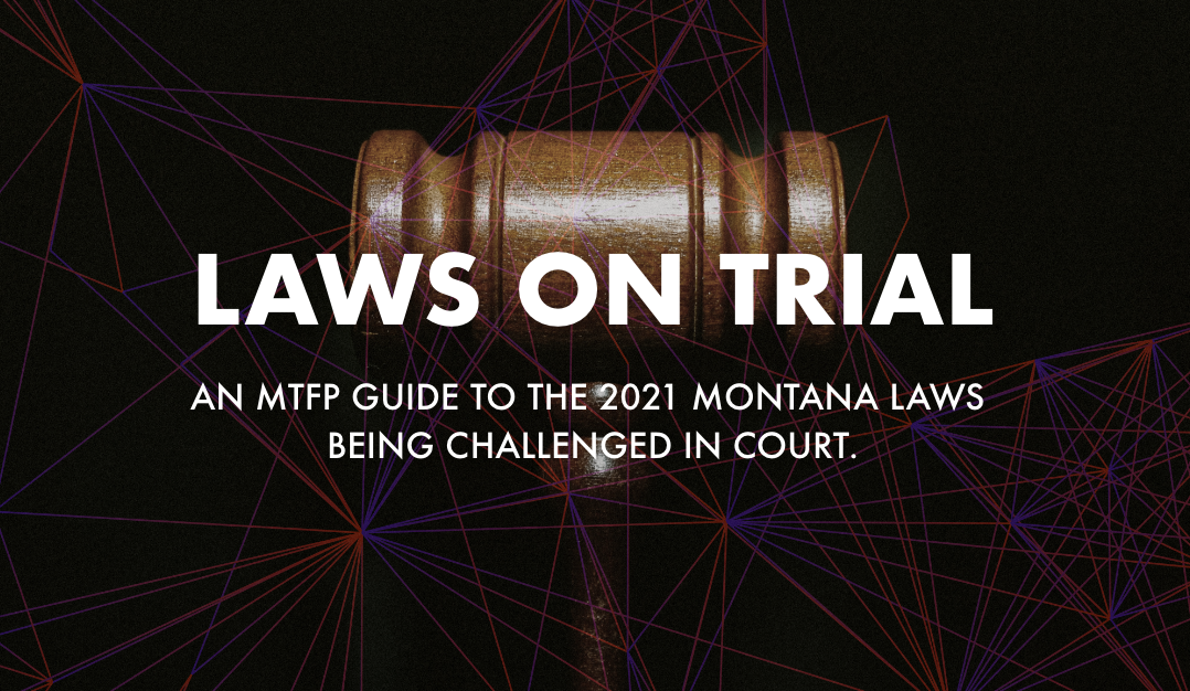 Montana Legislature Lawsuit Tracker logo